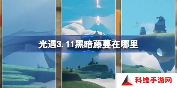 光遇3.11黑暗藤蔓在哪里-光遇3月11日染料位置攻略