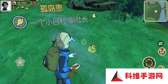 金色羽毛在小森生活中究竟有何妙用？全面攻略指南揭秘！