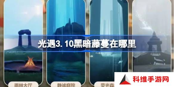 光遇3.10黑暗藤蔓在哪里-光遇3月10日染料位置攻略