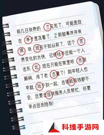 犯罪大师羊皮卷谜题揭晓，答案及深度解析何处寻？