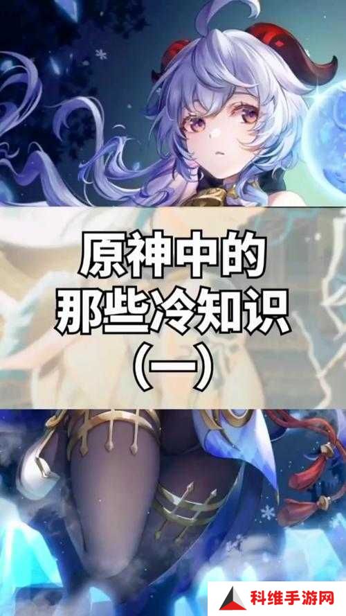 原神新手必看，前期有哪些实用知识能助你快速成长？