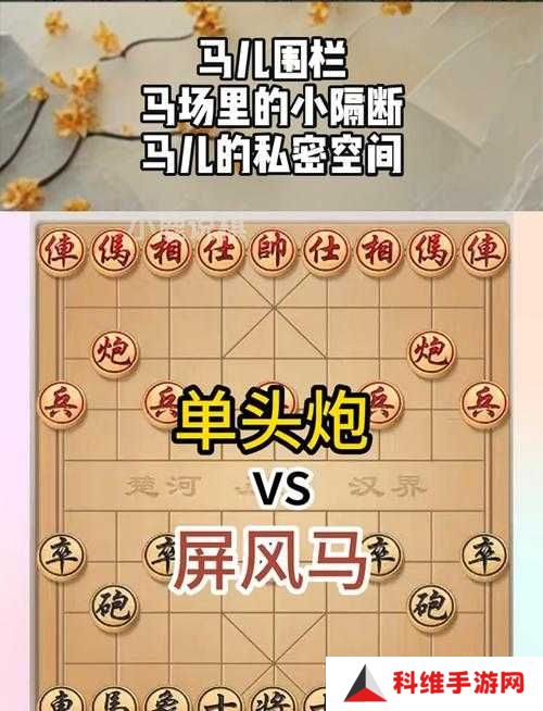 赛马娘新手必看，训马公式大全揭秘，如何高效训马成疑？
