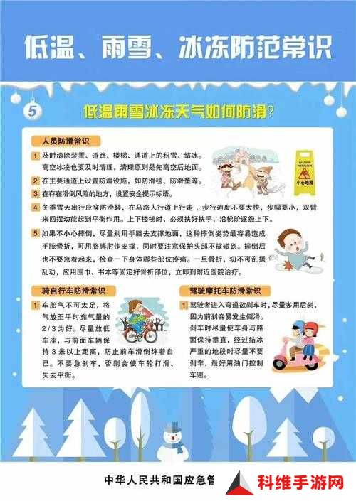 冰原守卫者在极寒环境中如何通过科学策略与实用技巧高效提升保暖度抵御严寒侵袭？