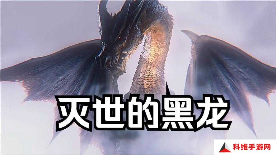 冰原守卫者黑龙技能书究竟如何获取？详细步骤与技巧全解析