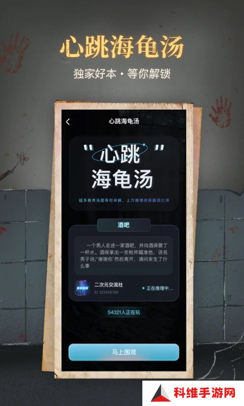 心跳海龟汤