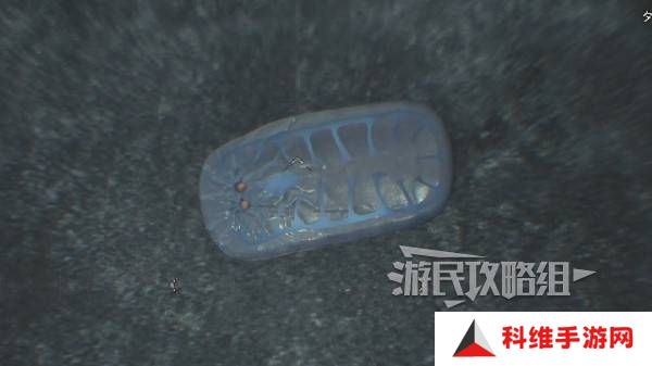 怪物猎人荒野大虚无动在哪捕获    大虚无动捕获攻略图片8