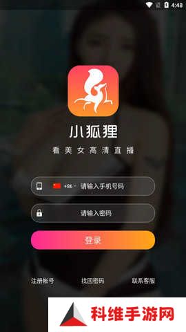 小狐狸直播