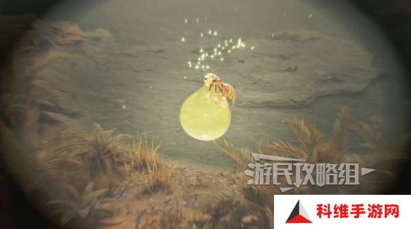 怪物猎人荒野大回复蜜虫位置在哪  大回复蜜虫捕获路线图片5