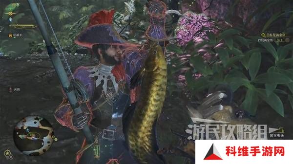 怪物猎人荒野黄金鱼怎么钓    钓黄金鱼位置一览图片6