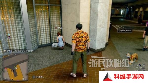 如龙8外传救护动物位置总汇   救护动物食材盘点图片19