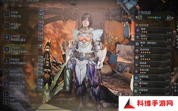怪物猎人荒野弓箭配装推荐   弓箭毕业配装思路图片7