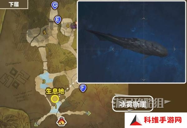 怪物猎人荒野带卵弓鳍鱼不咬钩怎么办 带卵弓鳍鱼用什么饵？