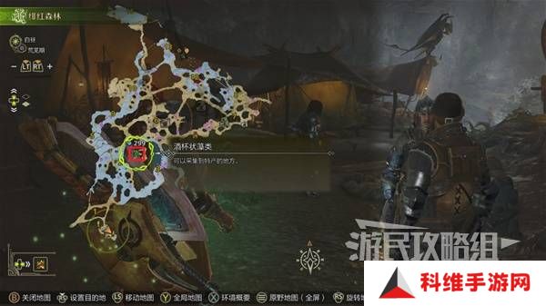 怪物猎人荒野黄金鱼怎么钓    钓黄金鱼位置一览图片3