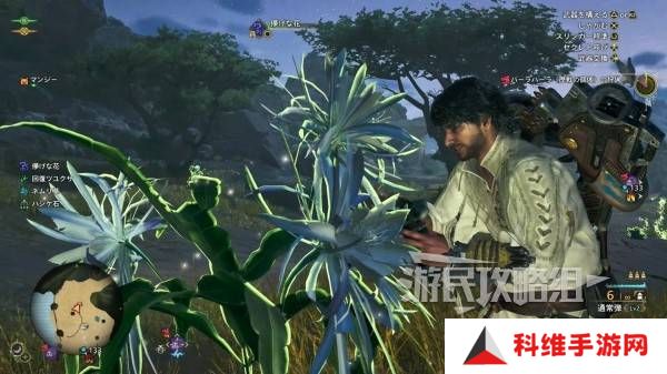 怪物猎人荒野一夜花的月华粉位置及获取途径一览