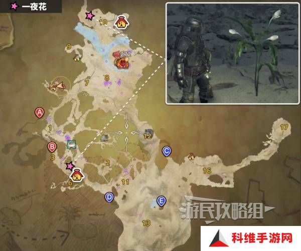怪物猎人荒野一夜花的月华粉位置及获取途径一览图片3