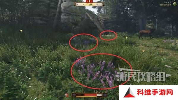 天国拯救2图文攻略大全   所有任务全流程攻略总汇图片29