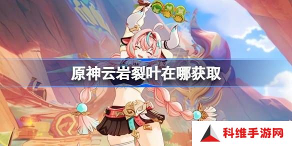 原神云岩裂叶采集路线分析 云岩裂叶位置分享[多图]
