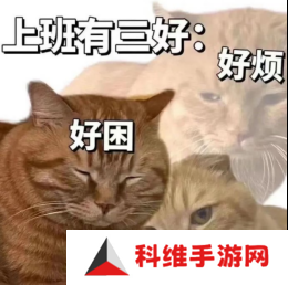 那些你没玩过游戏也知道的表情包 都是怎么火的