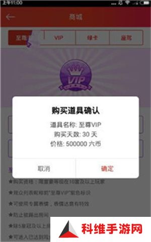 充值vip教程4