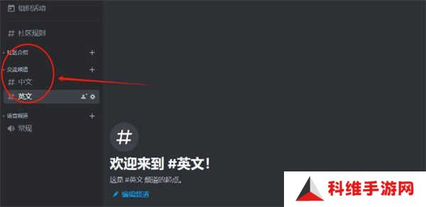 discord安卓版下载中文2024-discord手机中文版下载安卓安装包v214.16