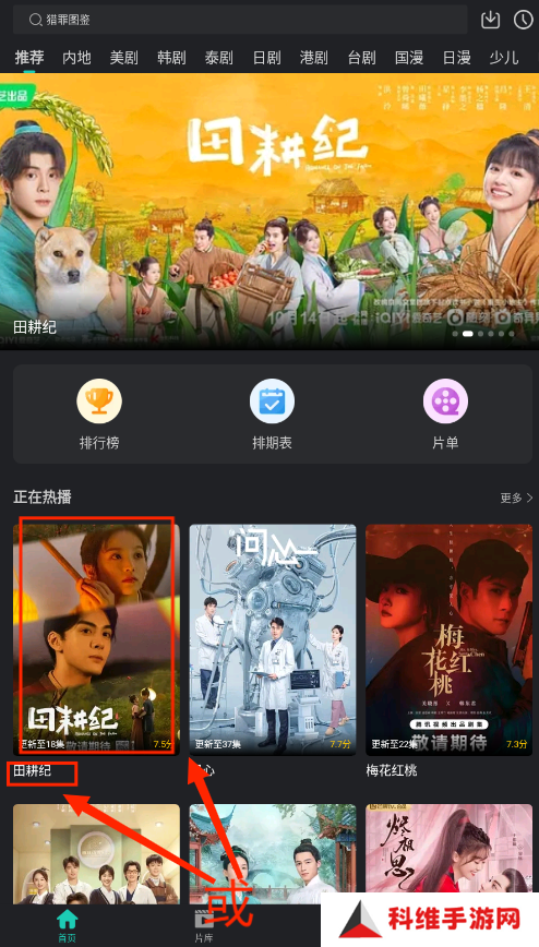 海鸥影评