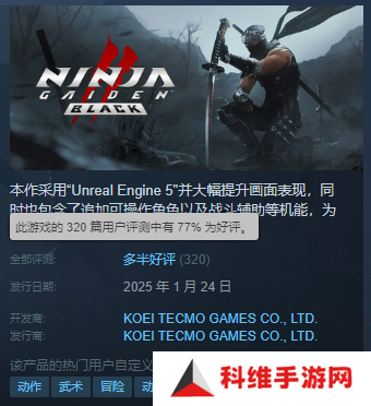 今夕是何年 两款忍龙新作正式公开