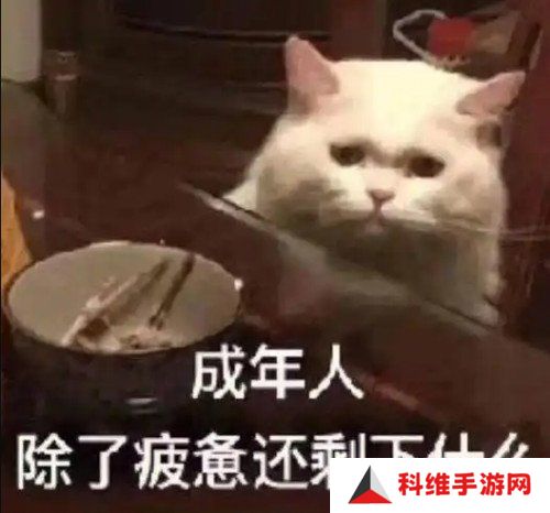 打枪和妹妹全都要！这次的《PUBG》又整了什么新活儿？