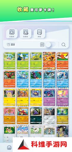 Pokemon TCG国际服