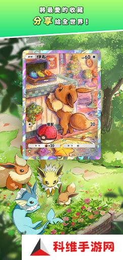 Pokemon TCG国际服