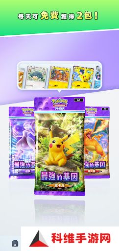 Pokemon TCG国际服