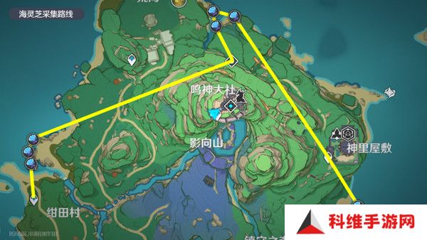 原神梦见月瑞希突破材料收集攻略 梦见月瑞希突破材料在哪里[多图]图片13