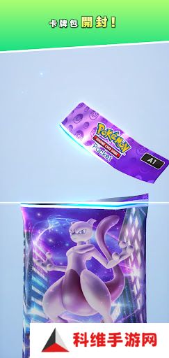 Pokemon TCG国际服