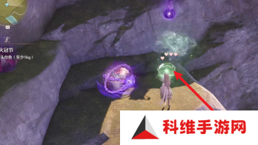 无限暖暖回避纽扣在哪里采集 回避纽扣获取攻略[多图]图片3