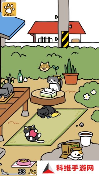 猫咪后院2