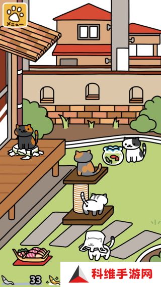 猫咪后院2