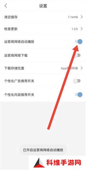设置移动网络自动播放1