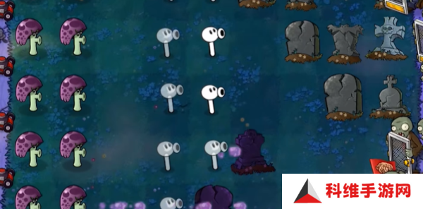植物大战僵尸威化版