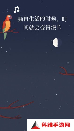 孤独的鸟儿