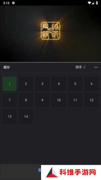 狮子影评
