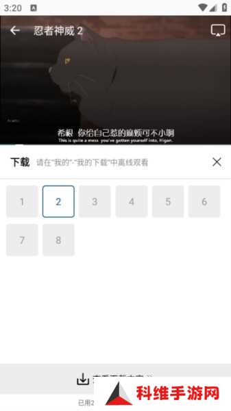雪豹视频图片6