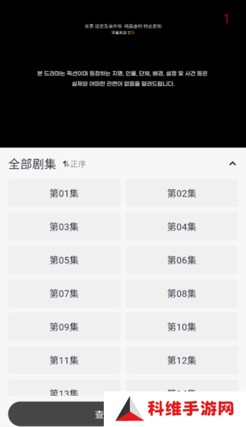 海鸥影评图片13