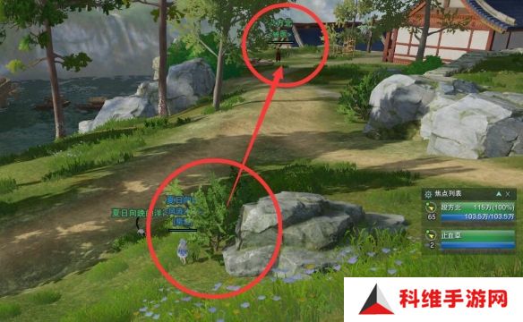 剑网3夜哀鸣宠物奇遇任务攻略 夜哀鸣宠物奇遇怎么完成[多图]图片4