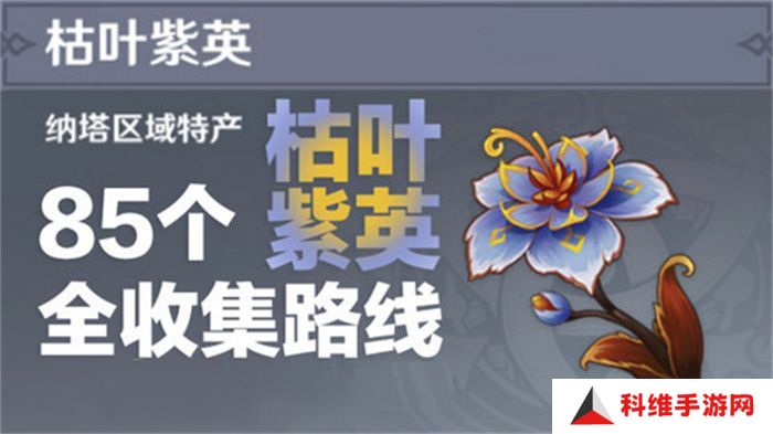 原神枯叶紫英收集全攻略 85个枯叶紫英位置在哪里[多图]图片1
