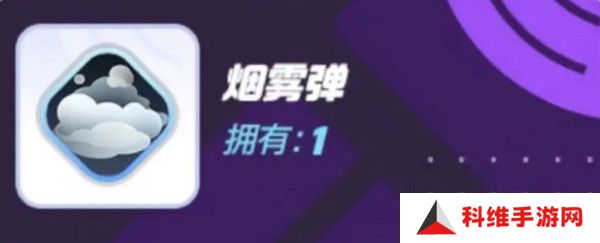 宝可梦大集结对战道具有哪些 对战道具介绍[多图]图片6