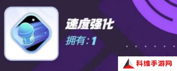 宝可梦大集结对战道具有哪些 对战道具介绍[多图]图片8