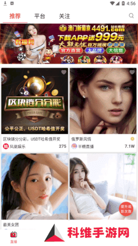 鲍鱼盒子