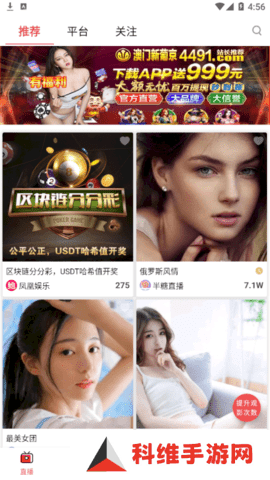 鲍鱼盒子