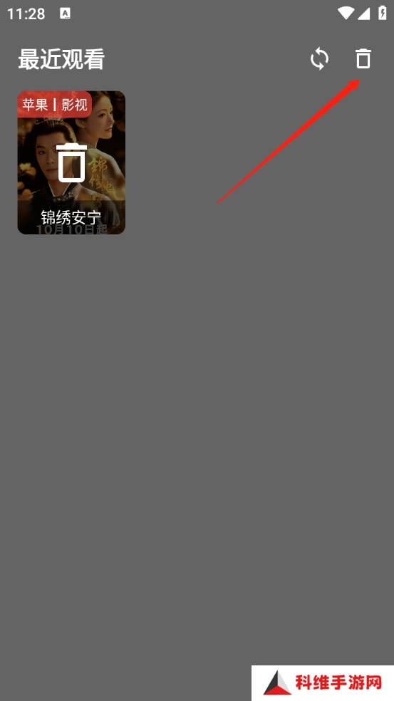 念心影视