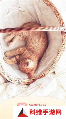 猫咪社区gps