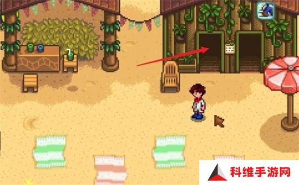 星露谷物语海盗湾怎么进 进入海盗湾方法攻略[多图]图片2